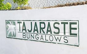 Tajaraste Playa Del Inglés